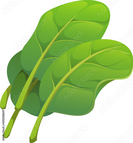 Cartoon raw ripe spinach leaves, fresh greenery foliage, natural healthy food, farming, or organic produce. Isolated vector vitamin organic nutrition, cooking ingredient for salads, dieting and detox