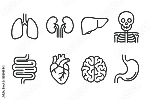 Set of human organs icons: lungs, kidneys, liver, skeleton, intestines, heart, brain, stomach