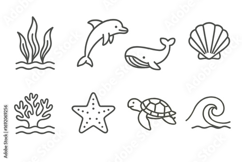 Marine life line art: dolphin, whale, shell, coral, starfish, turtle, wave illustrations