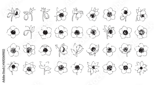Collection of delicate hand drawn floral silhouettes in a grid layout