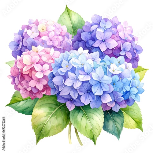 Pastel hydrangea bouquet illustration