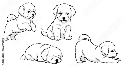 Four playful puppies in different poses: jumping, sitting, lying down, and stretching on a white background