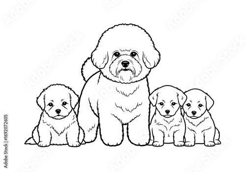 Mother Bichon Frise with three playful puppies sitting in front on a white background