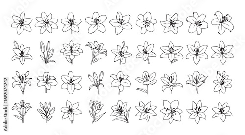 Collection of delicate hand drawn floral silhouettes in a grid layout