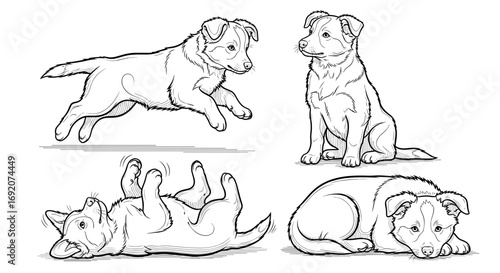 Four playful Border Collie puppies in dynamic poses illustrating fun and energy in a cute sketch