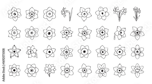 Collection of intricate floral and botanical line art illustrations silhouette