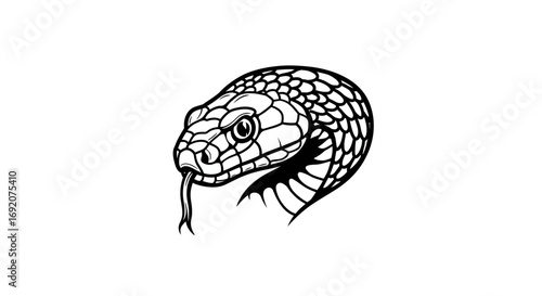 Detailed illustration of a snake head with tongue out against white background