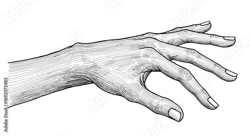 Detailed monochrome sketch of a hand with intricate line work portraying texture