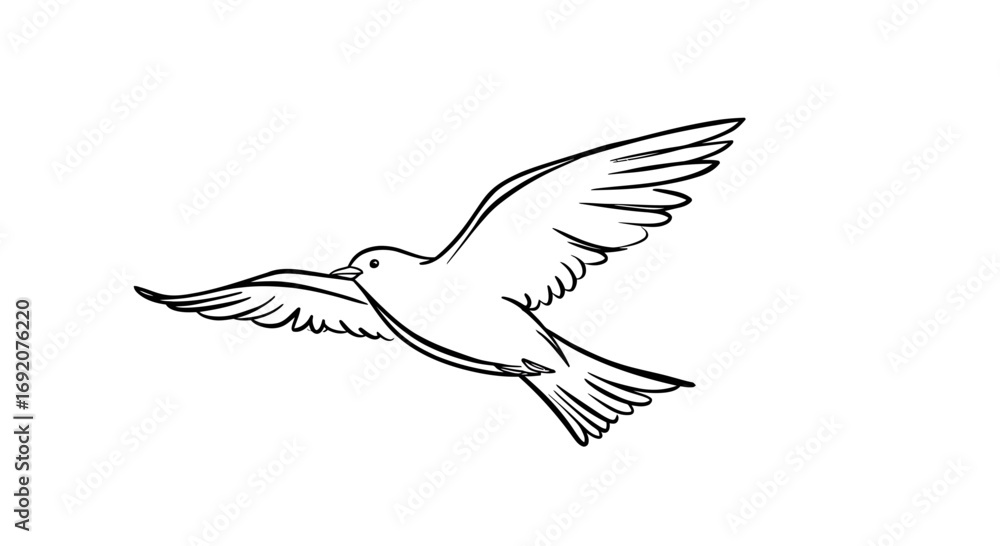 Fototapeta premium Elegant line art illustration of a bird in flight against a white backdrop