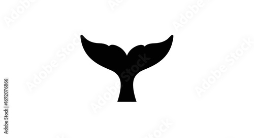 Elegant whale tail silhouette in black and white conveys marine life themes