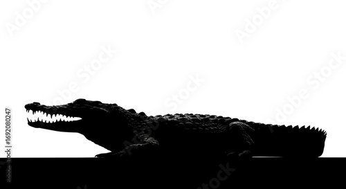 Silhouette of a menacing crocodile with sharp teeth against a stark white backdrop