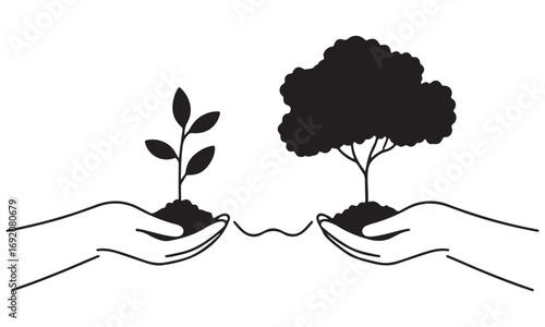 Hands Holding a Young Plant and a Mature Tree, Symbolizing Growth and Environmental Care