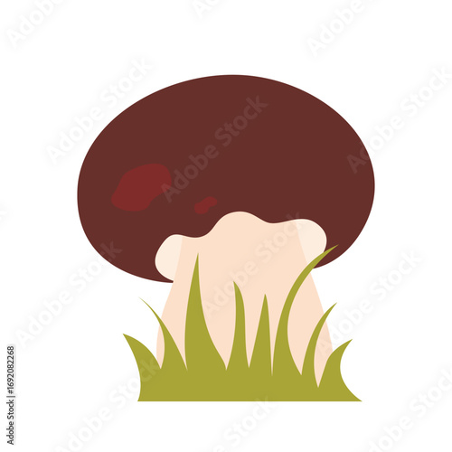 Young boletus in grass clip art illustration. Hand drawn cute noble edible forest mushroom, vector element