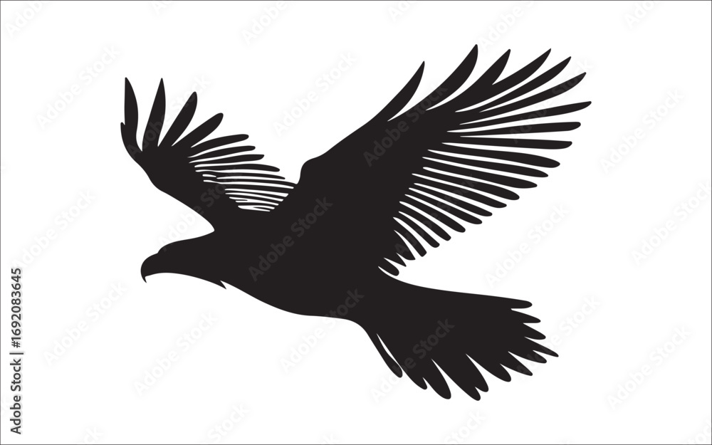 Obraz premium eagle vector illustration