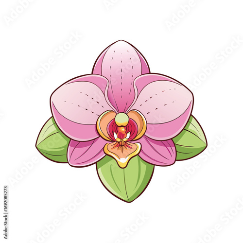 A beautiful cluster of vibrant orchid flowers artfully arranged on a clean white background for design projects