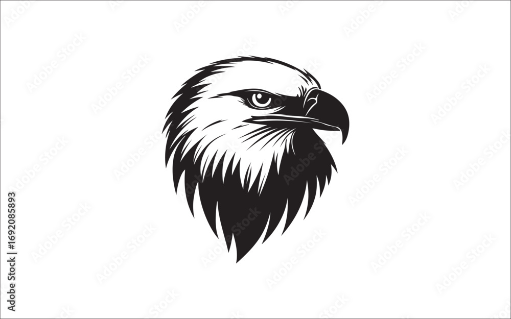 Fototapeta premium eagle head vector illustration