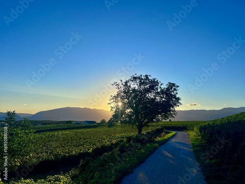 Sunset SAINT julien en genevois