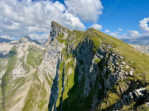 Aouille du CRIOU