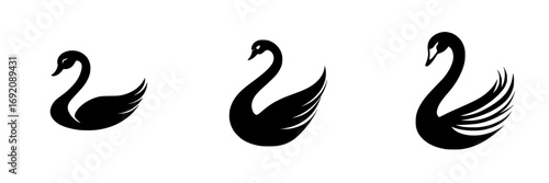 Elegant black-and-white vector illustration featuring minimalist silhouettes of swans in various poses