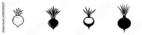 Minimalist black-and-white vector illustration of radishes in various styles depicting their different shapes and features