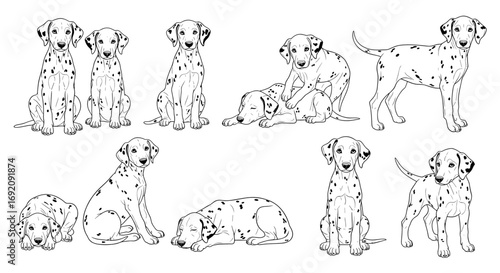 Eight playful Dalmatians illustrated in various poses showcasing their adorable behavior