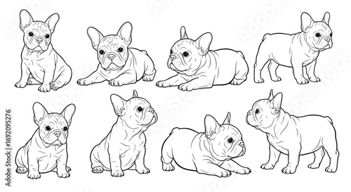 Eight French Bulldog puppies illustrated in various poses and angles in line art