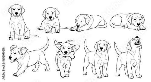 Golden Retriever puppies depicted in various playful poses, showcasing their adorable and lively personalities
