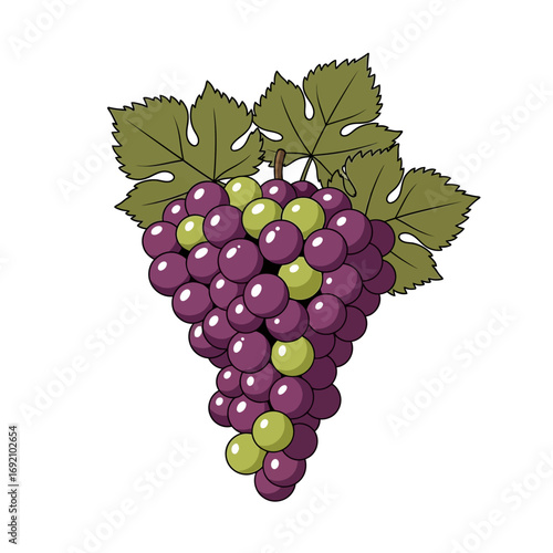 Cartoon Grape Cluster with Green Leaves and Purple Berries