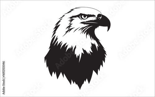 eagle on white background