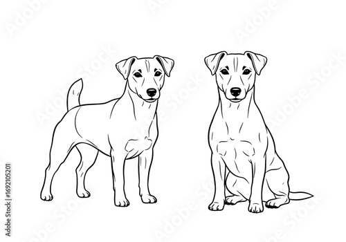 Two Jack Russell Terrier dogs in standing and sitting poses in a minimalist style 
