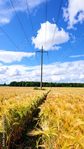 Rural field with power lines