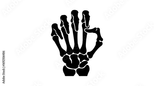 Skeleton hand with transparent background