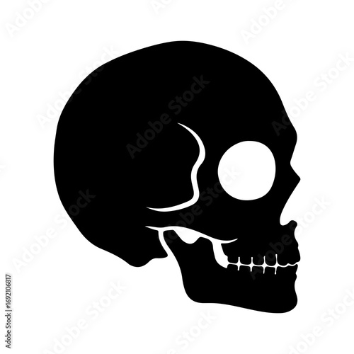 Skull side view with transparent background