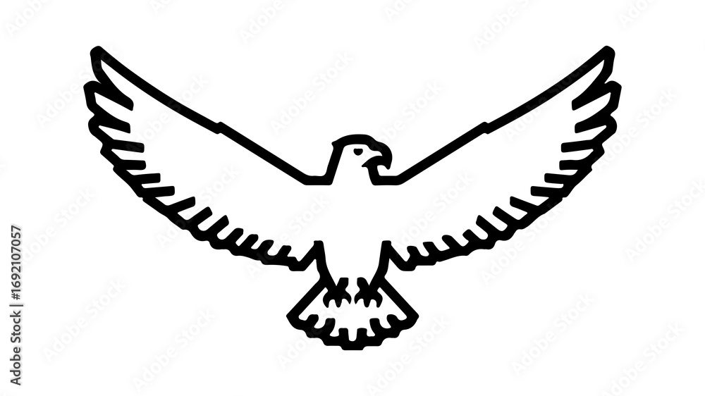 Obraz premium Soaring eagle outline with transparent background