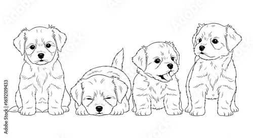 Four adorable Maltese puppies in a cute, playful illustration for pet-themed design
