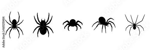 spider silhouettes icon set