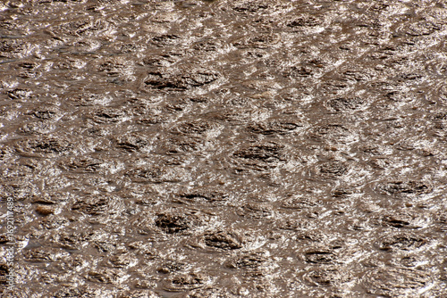 Fotografie An intricate pattern of turbulent, bubbly liquid, a detail shot from a wastewater treatment plant