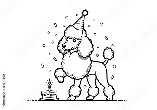 Celebrating poodle with a birthday hat, cake, and confetti