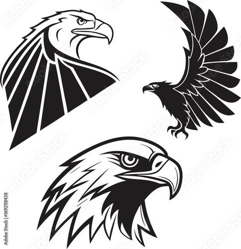 Eagle Art Collection: Bold, Fierce & Patriotic Illustrations
