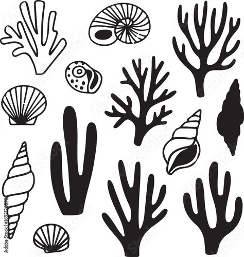 Oceanic Treasures A Collection of Sea Shells and Coral Vector Illustrations