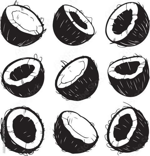 Coconut Halves Vector Set Tropical Fruit and Food Ingredient Collection