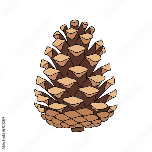 Stylized Pine Cone Illustration with Brown Scales