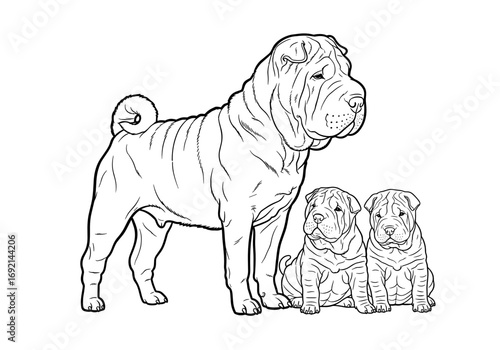 A proud Shar Pei mother standing with her two adorable puppies, showcasing their unique features and family bonds