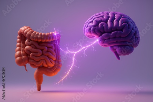 Brain Gut Connection: A conceptual illustration showcasing the intricate relationship between the human brain and gut, emphasizing the critical connection through a striking visual representation