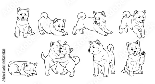 Eight playful Shiba Inu puppies in various poses, showcasing their adorable nature and energy