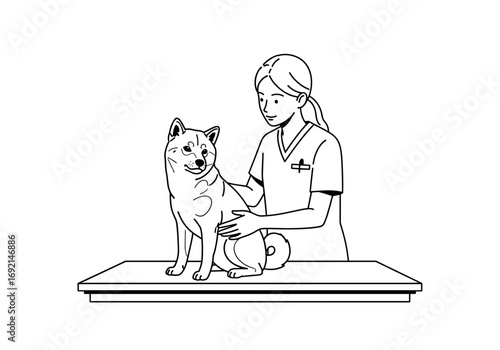Female veterinarian examining a Shiba Inu dog with care and attention in a veterinary clinic