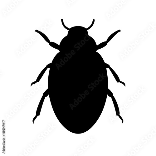 Beetle With Detailed Shell Pattern Vector Icon