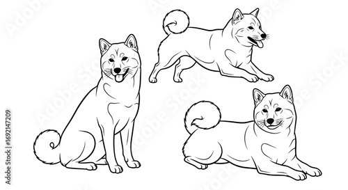 Three Shiba Inu dogs in different poses: sitting, jumping, and lying down, showcasing their playful and charming nature