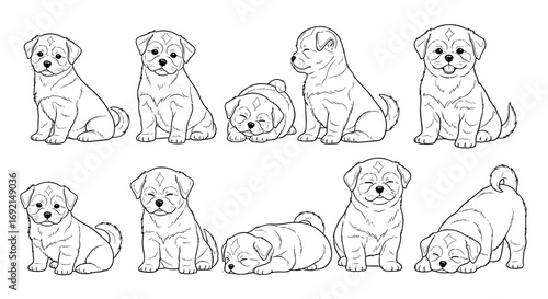 Ten adorable Shih Tzu puppies in various playful poses, showcasing their charm and cuteness