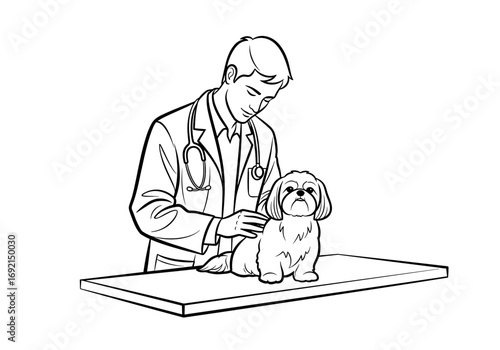 Veterinarian examining a Shih Tzu dog with care and attention at a veterinary clinic